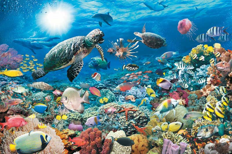 Ravensburger Underwater Tranquility 5000 Piece Puzzle image 1