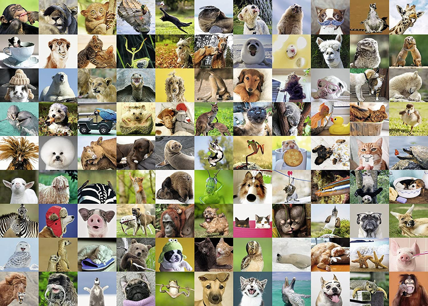 Ravensburger 99 Funny Animals 1000 Piece Puzzle image 1