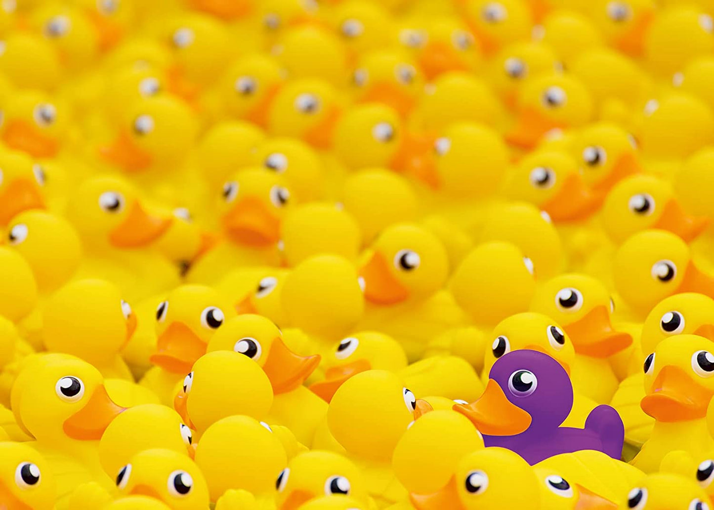 Ravensburger Rubber Ducks Challenge 1000 Piece Puzzle image 1