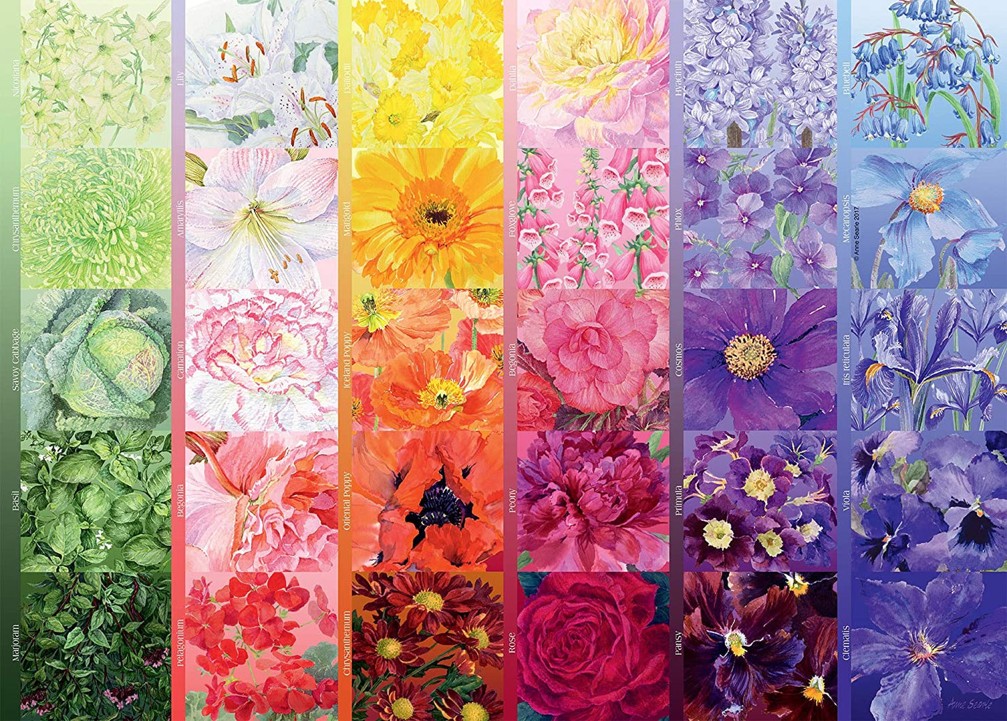 Ravensburger The Gardener's Palette 1000 Piece Puzzle image 1