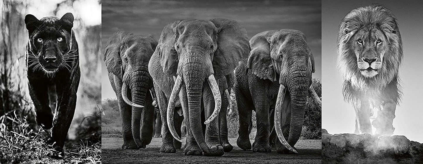 Ravensburger Triptychon Panthers, Elephants, Lions 1000 Piece Puzzle image 1