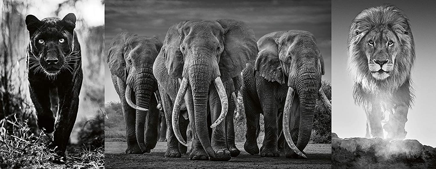 Ravensburger Triptychon Panthers, Elephants, Lions 1000 Piece Puzzle image 1