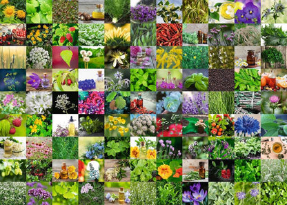 Ravensburger 99 Herbs and Spices 1000 Piece Puzzle image 1
