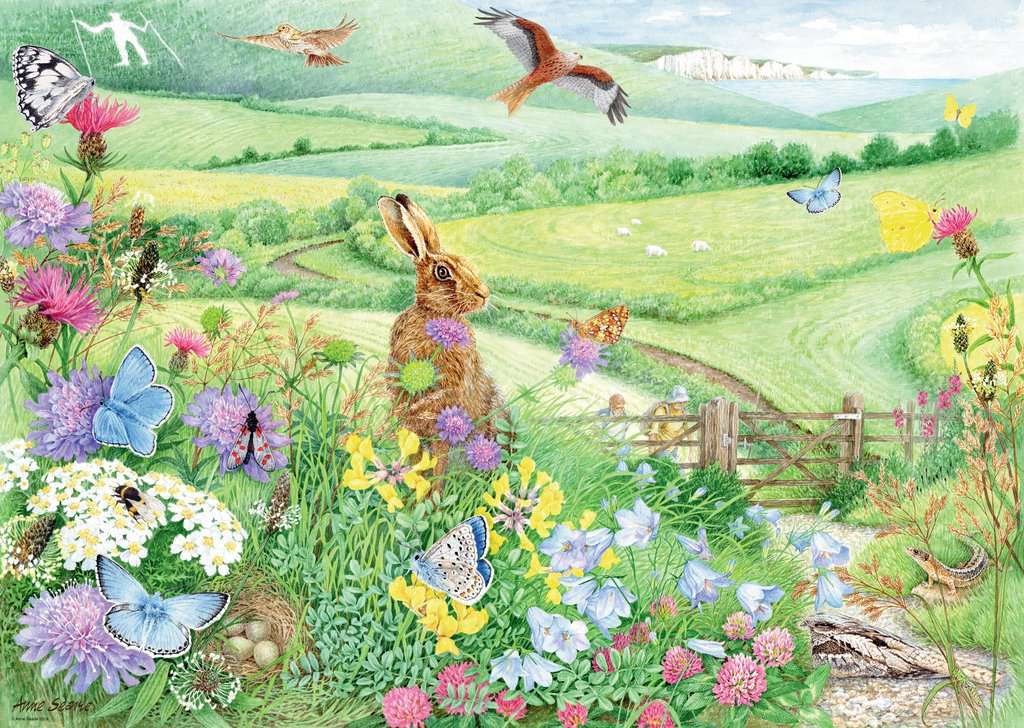 Ravensburger Walking World 1 South Downs 1000 Piece Puzzle image 1