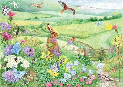 Ravensburger Walking World 1 South Downs 1000 Piece Puzzle image 1