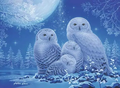 Ravensburger Owls In Moonlight 500 Piece Puzzle image 1
