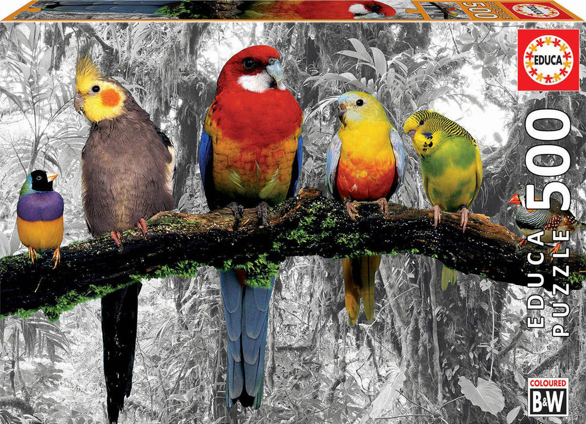 Educa Birds On The Jungle 500 Piece Puzzle image 0
