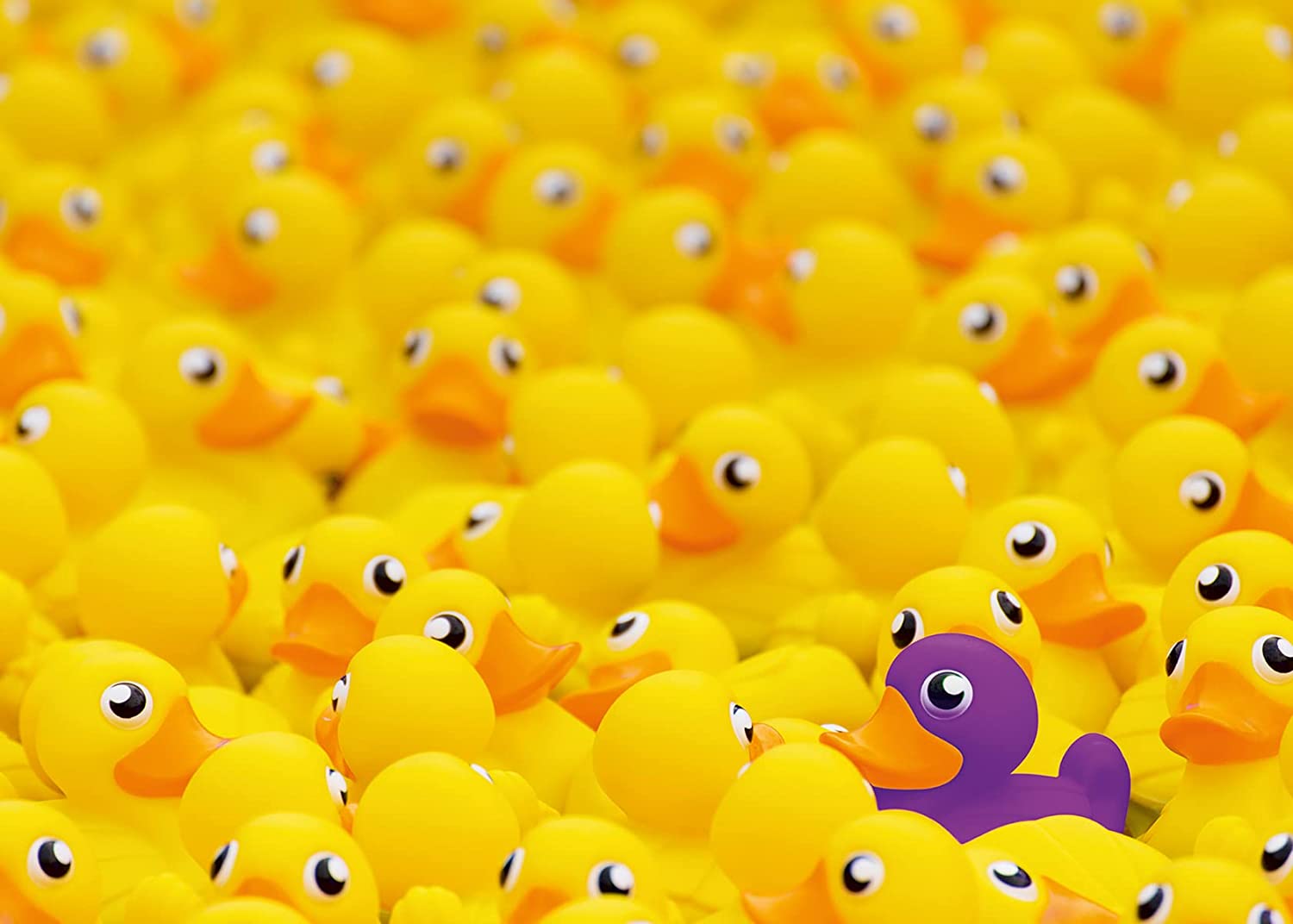 Ravensburger Rubber Ducks Challenge 1000 Piece Puzzle image 1