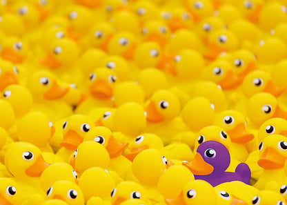 Ravensburger Rubber Ducks Challenge 1000 Piece Puzzle image 1