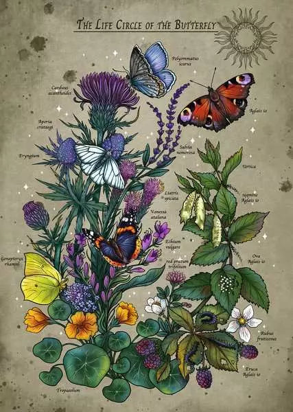 Ravensburger Life Cycle Butterfly 1000 Piece Puzzle image 1