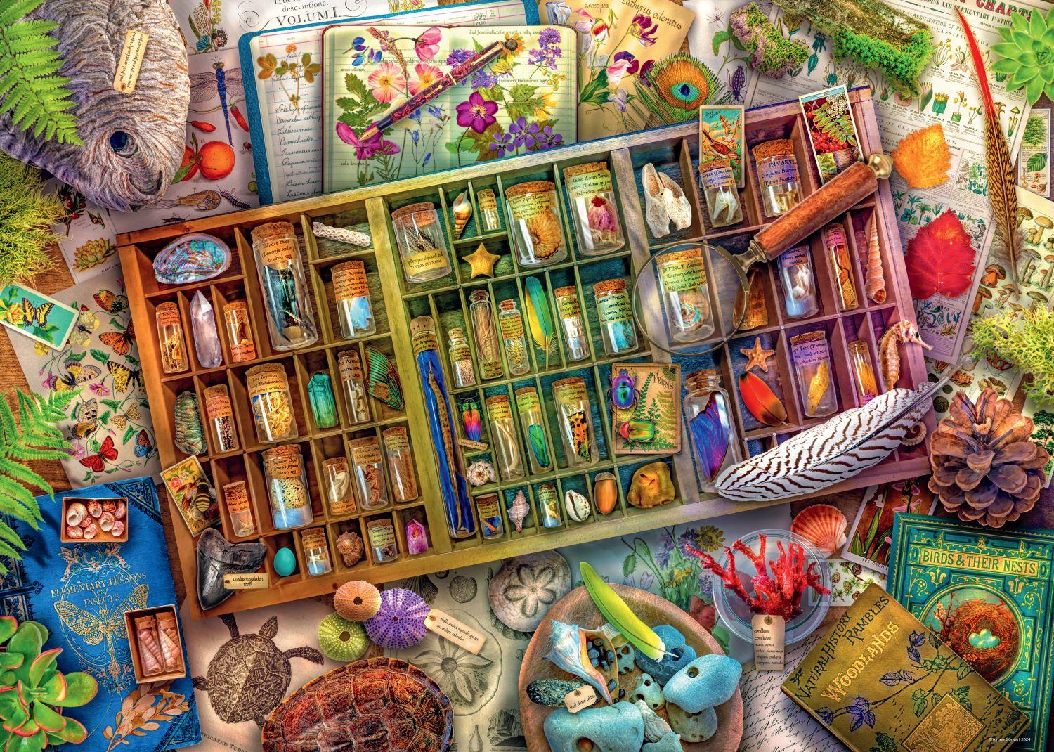 Ravensburger Aimee Stewart The Natural World 1000 Piece Puzzle image 1