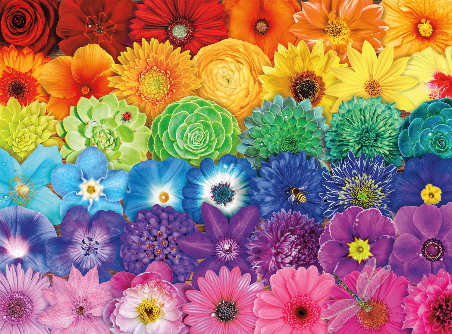 Buffalo Games Vivid Collection Blooms of Color 1000 Piece Puzzle image 1