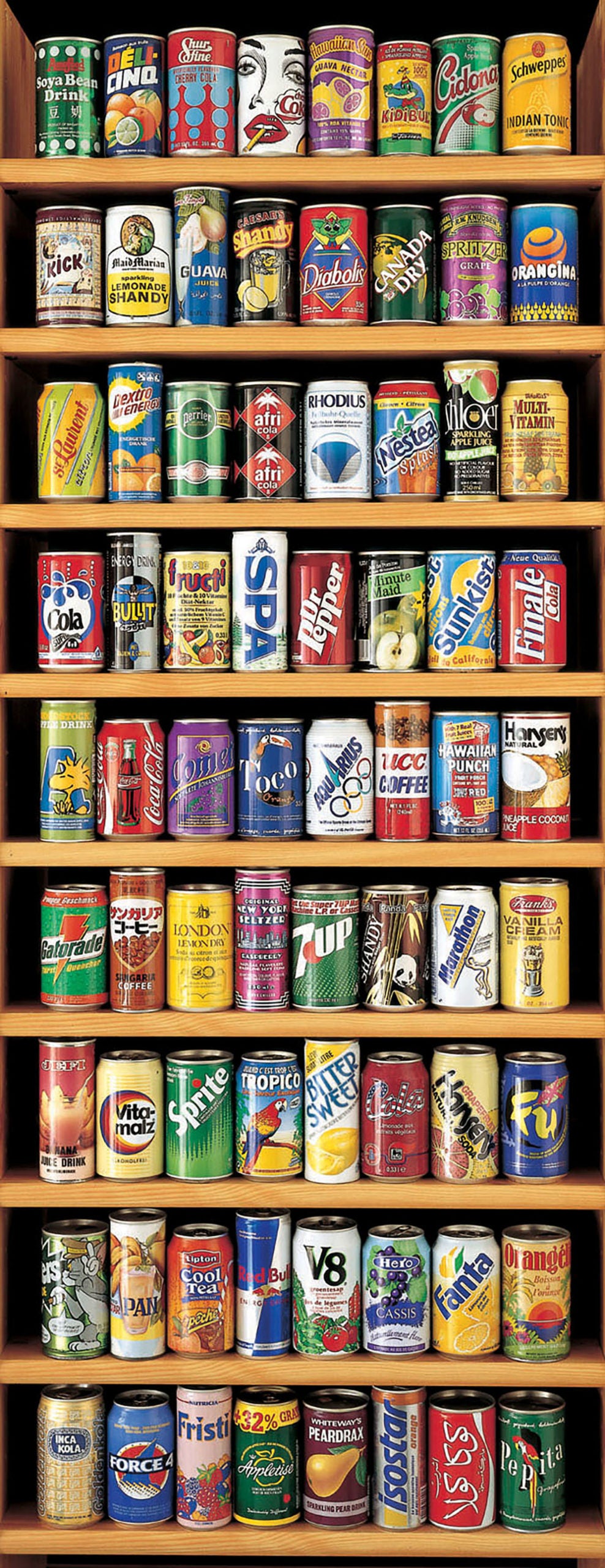 Educa Soft Cans 2000 Piece Panorama Puzzle image 1