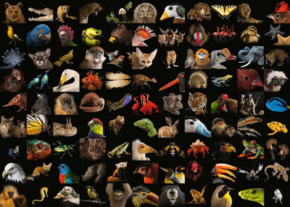 Ravensburger 99 Beautiful Animals "Photo Ark" 1000 Piece Puzzle image 1