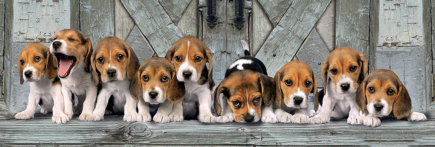 Clementoni High Quality Collection Beagles Panorama 1000 Piece Puzzle image 1