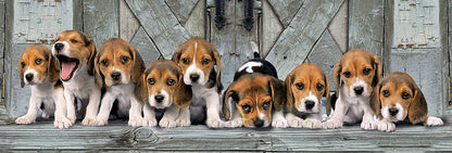 Clementoni High Quality Collection Beagles Panorama 1000 Piece Puzzle image 1