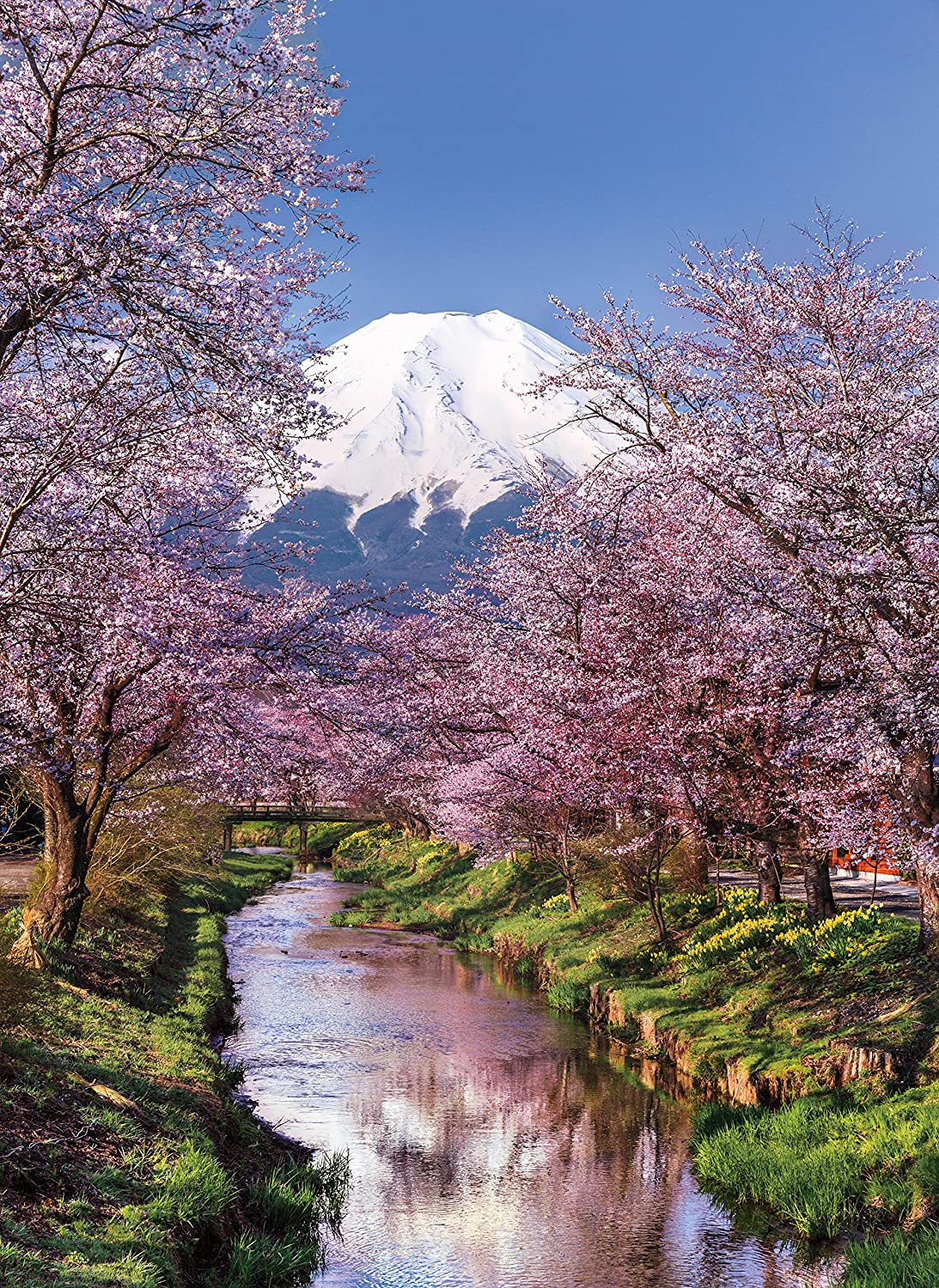 Clementoni High Quality Collection : Fuji Mountain 1000 Piece Puzzle image 1