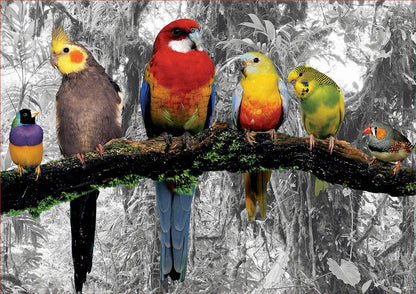 Educa Birds On The Jungle 500 Piece Puzzle image 1